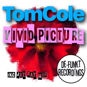 Vivid Picture - Single
