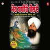 Bhai Nirmal Singh Ji - Mor Babihe Bolde