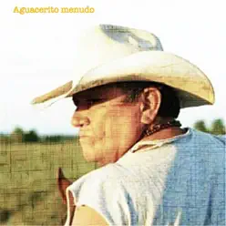 Aguacerito Menudo - Single - Cholo Valderrama Aguacerito Menudo - Single - Cholo Valderrama