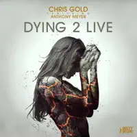Dying 2 Live (feat. Anthony Meyer) — Chris Gold