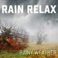 Rainy Weather — Rain relax