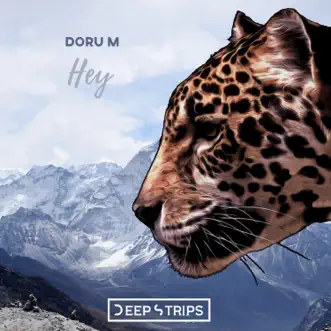 Hey - Single by Doru M album reviews, ratings, credits