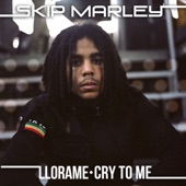 Cry to Me (Kustom Mike Remix) artwork