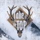 Take It To The Top feat Anna Montgomery Single