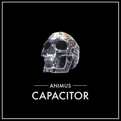 Capacitor