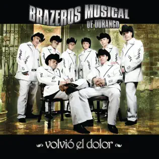 descargar álbum Download Brazeros Musical de Durango - Volvió El Dolor album