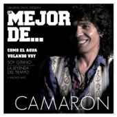 Lo Mejor de Camarón artwork