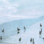 Yuko Imada - Untitled (Jellyfish)