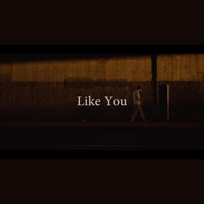 Like You - Single