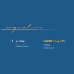 Calibre - Sunrise (feat. DRS)