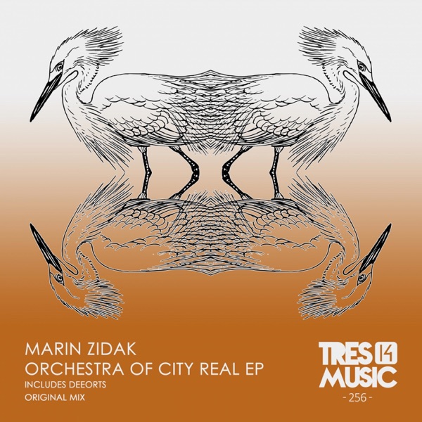 ORCHESTRA OF CITY REAL EP - Single