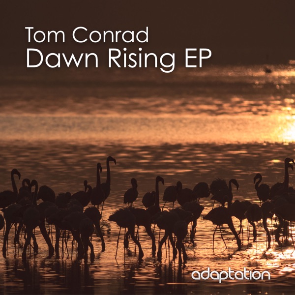 Dawn Rising - Single