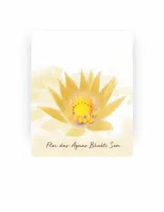 Listen to Flor das Águas Bhakti Som, watch music videos, read bio, see tour dates & more!