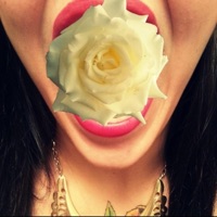 Bars - Single - Ashes