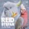 For the Birds - Reid Stefan lyrics
