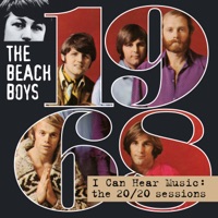 The Beach Boys Ablum Cover