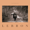 Lebron - Toteking