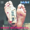 Babybird, John Pedder, Luke Scott, Stephen Jones, Huw Chadbourn & Robert Gregory