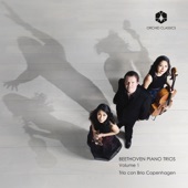 Piano Trio No. 1 in E-Flat Major, Op. 1 No. 1: I. Allegro artwork