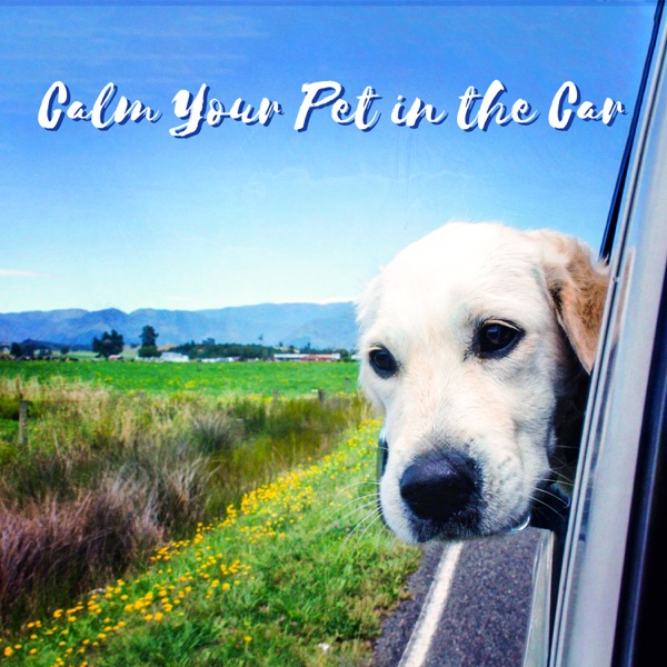 Calm Your Pet in the Car - Relaxing Collection for Your Animal Companion: Relax Your Pet During Summertime Journey