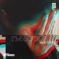 I'm So Sorry - Single - Mountenz