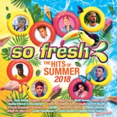 So Fresh: The Hits of Summer 2018 artwork