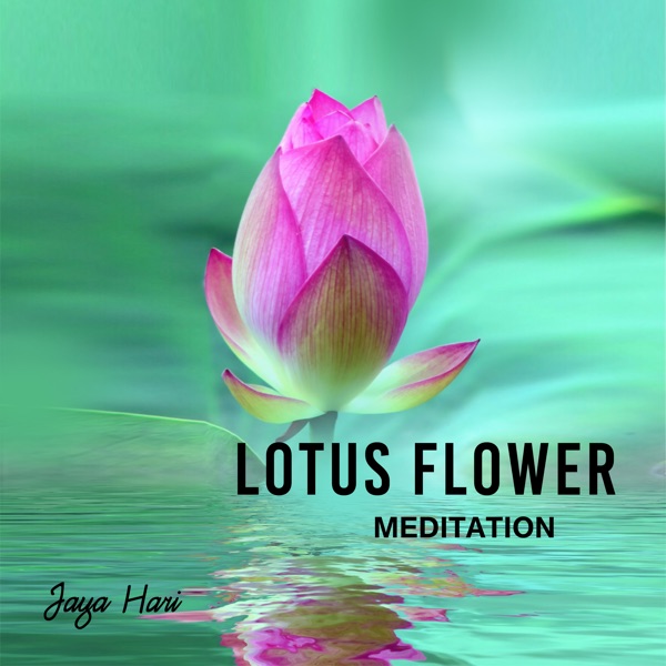 Lotus Flower Meditation