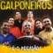 Amor Perfeito - Os Galponeiros lyrics