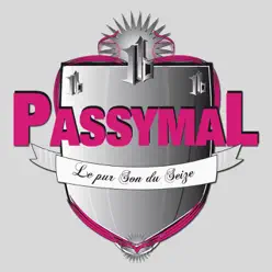 Pas si mal (Main) - Single - Passymal