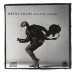 Bryan Adams - Straight from the Heart