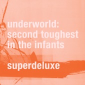 Second Toughest in the Infants (Super Deluxe) [Remastered] artwork