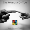 Burren Chernobyl Project - The Wonder of You artwork