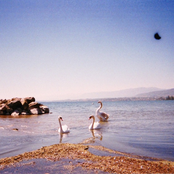 Cover artwork for Window