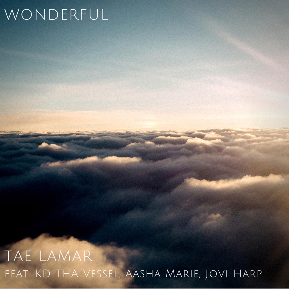 Обложка альбома «Wonderful (feat. KD Tha Vessel, Aasha Marie & Jovi Harp) - Single» — Tae Lamar