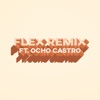 Flex Remix - Single