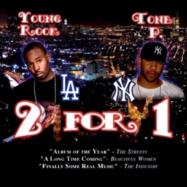 Splish Splash Young Rook