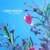 Dr. Deep House - Sightseeing