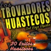 20 Éxitos Huastecos