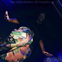 The Introduction of Confidence Mixtape - EP - True Confidence