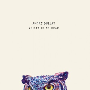 Voices in My Head - Single