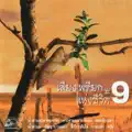 สุ ไทรงาม