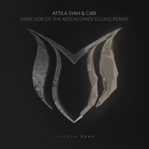 Dark Side of the Moon (Andy Elliass Remix) - Single