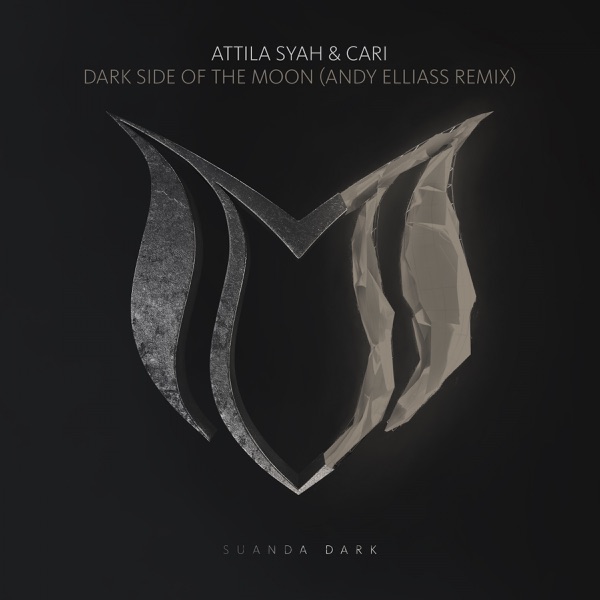 Dark Side of the Moon (Andy Elliass Remix) - Single