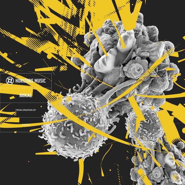 From Creation - EP