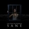 Sane - Call Upon the Sovereign lyrics