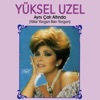 Akşam Güneşi