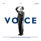 VOICE - The 1st Mini Album artwork