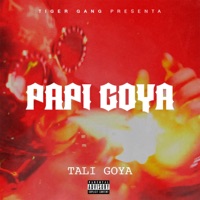 Papi Goya - Single - Tali Goya