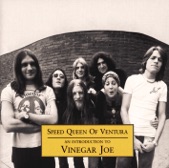 Vinegar Joe - Circles