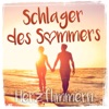 Schlager Des Sommers (DJ Mix)